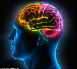 188金宝搏吧
陆林教授课题组在《JAMA Psychiatry》 杂志报告消除烟瘾的新方法